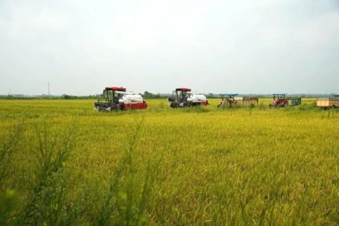 1666083798128635.gif 1666083798128635.gif